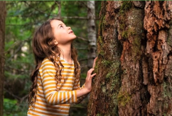 Waldferienprogramm für Kinder ab 6 Jahren